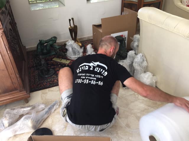 צוות אריזה והובלה מיומן